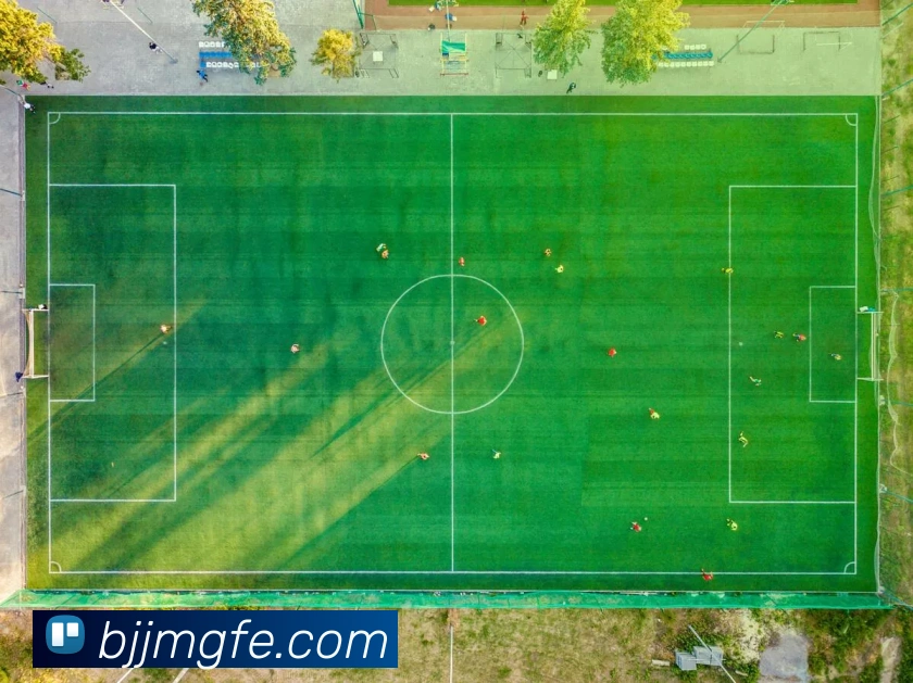 登录器
